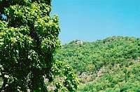 The Pinnacle from Cumberland Gap.jpg